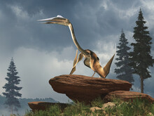 Quetzalcoatlus Was The Largest Pterosaur, A Type Of Flying Reptile That Lived During The Late Cretaceous Period Around 68-66 Million Years Ago In What Is Now North America. 3D Rendering