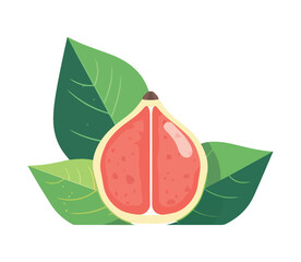 Sticker - guava tropical fruit slice, healthy eating