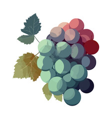 Sticker - fresh oragnic grapes, fruits nature