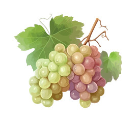 Wall Mural - Juicy grape bunches ripe for winemaking