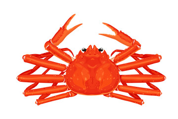 Wall Mural - Snow crab Vector eps 10. background, perfect for wallpaper or design elements