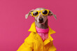 © Sebastian - Stylish dog donning a funky fashion dress, including a bright yellow jacket, vest, and sunglasses. Generative Ai, Ai.