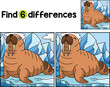 Walrus Animal Find The Differences
