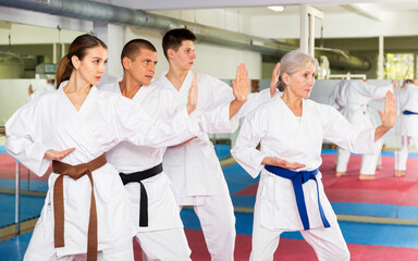 Wall Mural - Concentrated people of different ages in kimonos practicing punches in gym during group martial arts workout. Shadow fight, combat sports training concept ..