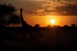 Giraffes have been in the wildlife sanctuary, AI generated