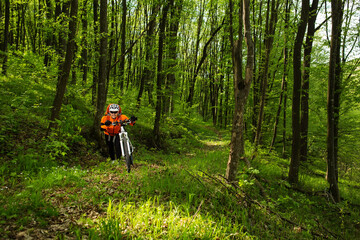 Sticker - Biker on the forest road on single track