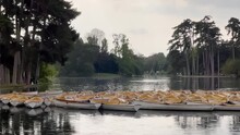 France, Paris, Boat Station In Lake In The Bois De Boulogne At Cloudy Weather, Many Boats In The Center Of The Pond, Rainy, Magic Mirror Reflection Of Green Tree, Peace And Quiet