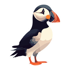 Wall Mural - Cute puffin bird on white background