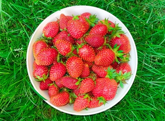 Canvas Print - Strawberries on plate