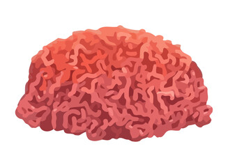 Wall Mural - ground meat ingredient fresh icon