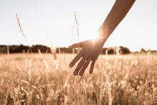 Golden Wheat Field Under Morning Sky With Senior Woman's Hand Touching Grass In The Countryside.
