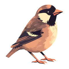 Wall Mural - Cute finch perching standing vector design icon