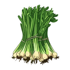 Sticker - Fresh spring onion vegetables bundle