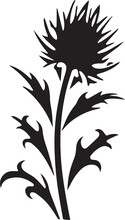 Thistle Black And White, Vector Template Set For Cutting And Printing