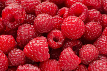 Canvas Print - Background from ripe berries of raspberry