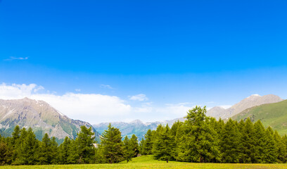 Sticker - Wonderful view on Italian Alps with a forest background during a summer day. Piedmont region - North Italy.