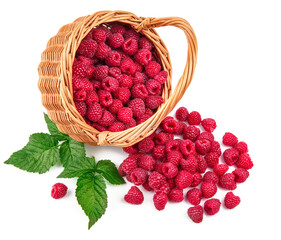 Canvas Print - Fresh berries raspberry in wicker basket strewed with green leaves, isolated on white background