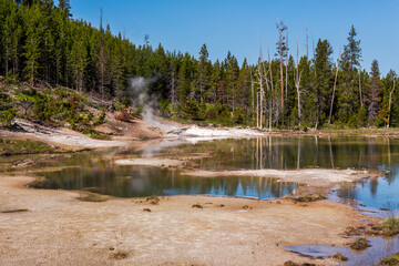 Wall Mural - Crackling Lake in the Norris Geyser Basin in the Yellowstone National Park, WY, USA