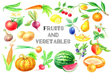 Wall Mural - Watercolor set of fruits and vegetables on a white background