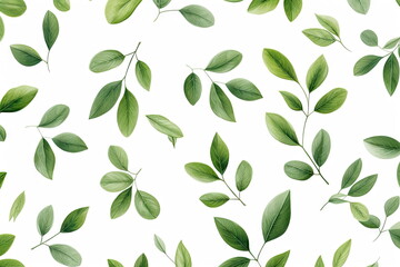 Wall Mural - green leaves on white background