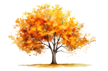 Wall Mural - Watercolor illustration of an autumn tree with yellow foliage isolated on transparent background, Generative AI