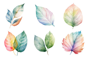Wall Mural - colorful watercolor pastel leaves elements collection isolated on transparent background