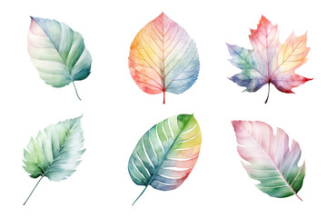 Wall Mural - colorful watercolor pastel leaves elements collection isolated on transparent background