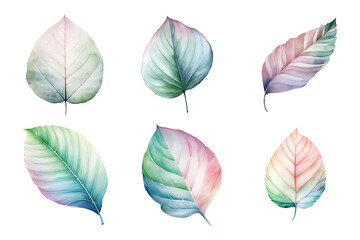 Wall Mural - colorful watercolor pastel leaves elements collection isolated on transparent background