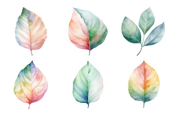 Wall Mural - colorful watercolor pastel leaves elements collection isolated on transparent background