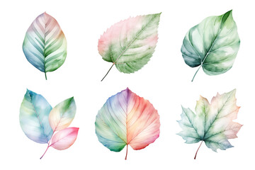Wall Mural - colorful watercolor pastel leaves elements collection isolated on transparent background