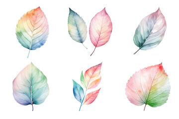 Wall Mural - colorful watercolor pastel leaves elements collection isolated on transparent background