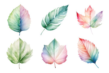 Wall Mural - colorful watercolor pastel leaves elements collection isolated on transparent background