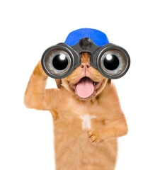 Aufkleber - Happy mastiff puppywearing blue cap looks through binoculars. Isolated on white background