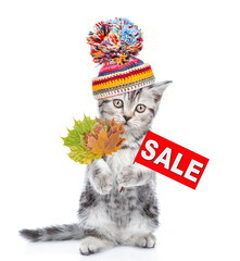 Poster - Cute kitten wearing a warm hat shows signboard with labeled 