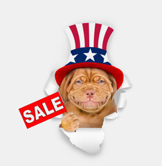 Poster - Happy Mastiff puppy wearing like Uncle Sam looking through a hole in paper and shows signboard with labeled 