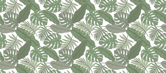  Tropical seamless pattern with green monstera and palm leaves, banana leaves. Pattern for wallpapers, backgrounds, textiles, covers, item designs