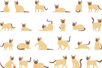 Burmese cat icons set cartoon vector. Breed animal. Mammal pet