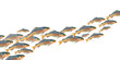 Watercolor shoal fishes isolated on blue background. Underwater background for marine or fishing design.