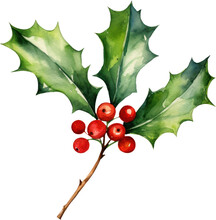 Christmas Holly Berry Watercolor Illustration. Generative AI