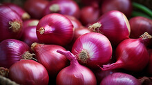 Onion Background Collection Of Healthy Food Fruit And Vegetables, Natural Background Of Fresh Onion Representing Concept Of Organic Vegetables , Healthy Eating, Fresh Ingredient