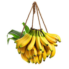 Bananas In A Hanging Basket. Isolated Object, Transparent Background