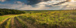 © ghostdom - Summer landscape