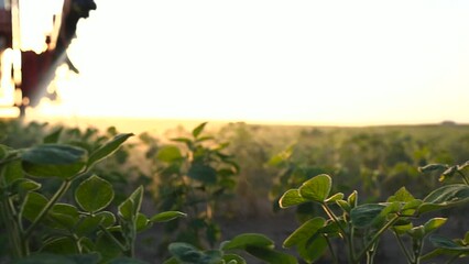 Poster - Tractor drives through a green field and sprays crops with pesticides in a farmer s field. 