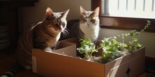 AI Generated. AI Generative. Cats With Catnip On Photo Eat Healthy Plant Together. Love Pet Romantic Pets. Graphic Art