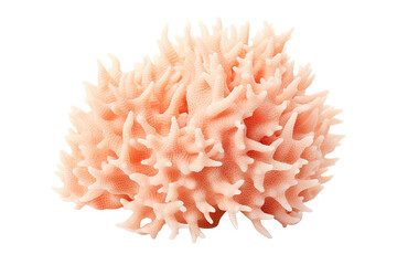 Wall Mural - Thorny Coral, Thin Finger, , Table Coral beccc_.Table Coral, on transparent background (PNG). Generative AI.