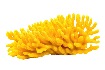 Wall Mural - Yellow Ridge coral, on transparent background (PNG). Generative AI.