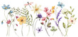 Border banner with watercolor wildflowers. Floral decoration. Hand drawing.