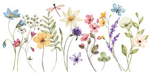 Border Banner With watercolor Wildflowers. Floral Decoration. Hand Drawing.
