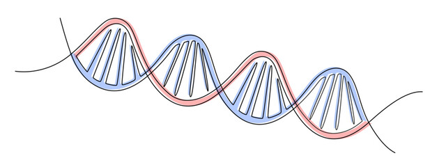 One continuous line drawing of helix DNA. Concept of medical and science biotechnology in simple linear style. Human genome structure in editable stroke. Doodle color vector illustration