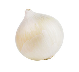 Wall Mural - white onion on transparent png